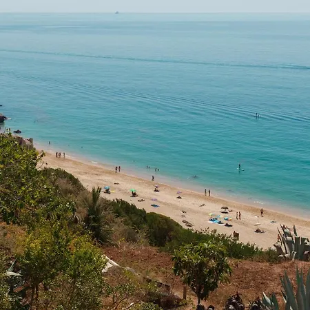 Apartman House By Saudade